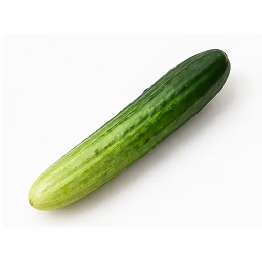 오이/취청 대표 이미지